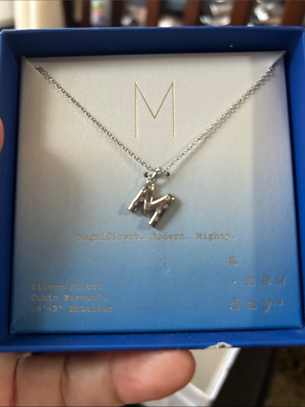 a new day Silver Initial M Pendant Necklace